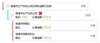 蕪湖市土產日雜公司日用雜品第三總店 傳統與現代的日用雜品供應平臺